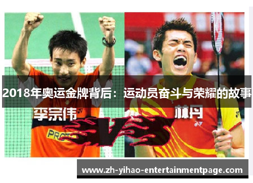 2018年奥运金牌背后:运动员奋斗与荣耀的故事 2018年奥运金牌背后:运动员奋斗与荣耀的故事